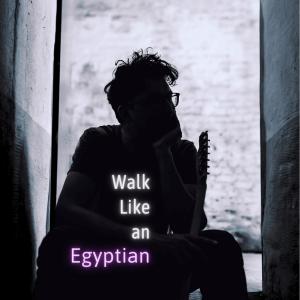Dominique Fricot的專輯Walk Like an Egyptian