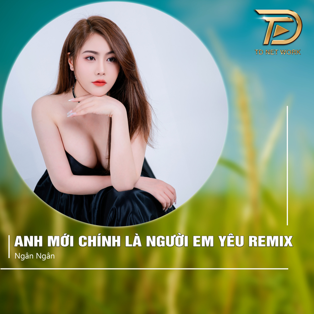 Anh Mới Chính Là Người Em Yêu (Remix)