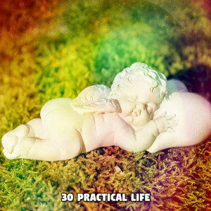 30 Practical Life dari Baby Sleep Music