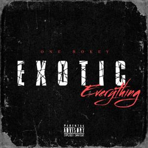 Listen to Exotic Everything (Explicit) song with lyrics from Bokey