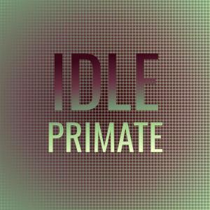 Listen to Finally Make song with lyrics from Jonh Roneil