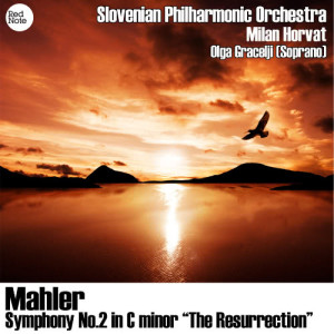 ดาวน์โหลดและฟังเพลง Symphony No. 2 "The Resurrection" in C Minor: IV. Movement: "Urlicht" - 14. Sehr feierlich aber schlicht - Oh Röschen rot (Alto Solo) Text aus "Des Knaben Wunderhorn" - attacca พร้อมเนื้อเพลงจาก Milan Horvat