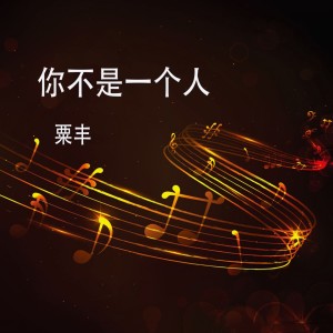 ดาวน์โหลดและฟังเพลง 你不是一个人 พร้อมเนื้อเพลงจาก 粟丰
