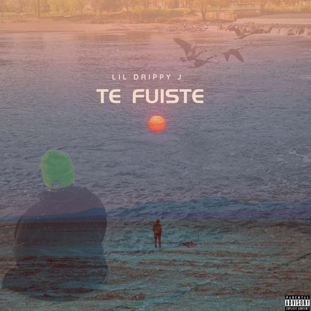 Te Fuiste
