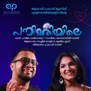 Listen to Panimathiyile song with lyrics from Sachin Warrier