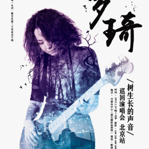 อัลบัม 罗琦2015"树生长的声音"北京演唱会 (Live) ศิลปิน 罗琦