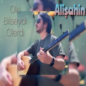 Listen to Öle Bilseydi Ölerdi song with lyrics from Alişahin