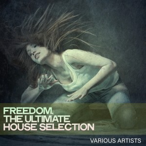 Various Artists的專輯Freedom, the Ultimate House Selection