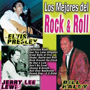 ดาวน์โหลดและฟังเพลง Thirteen Women (And Only One Man in Town) พร้อมเนื้อเพลงจาก Bill Haley