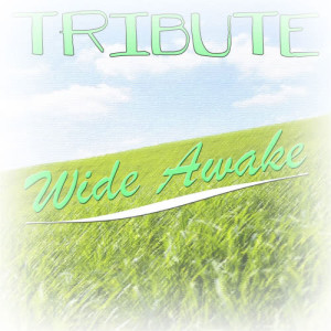 ดาวน์โหลดและฟังเพลง Wide Awake (Katy Perry Cover) พร้อมเนื้อเพลงจาก Pop Tracks