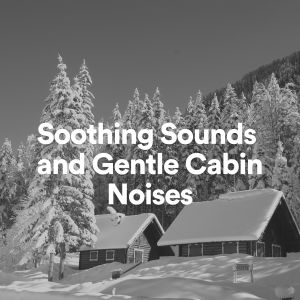 Album Soothing Sounds and Gentle Cabin Noises from White Noise Spa