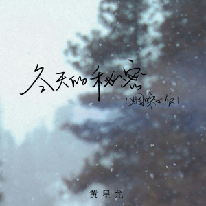 Album 冬天的秘密 (烟嗓女版) oleh 黄星允