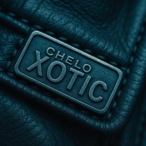 ดาวน์โหลดและฟังเพลง XOTIC พร้อมเนื้อเพลงจาก Chelo