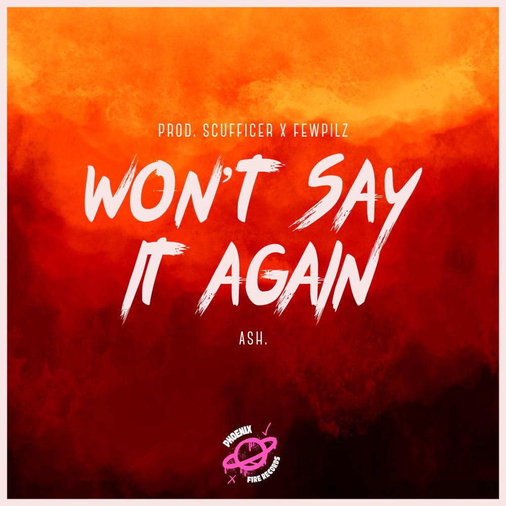 Won't Say It Again (Explicit)
