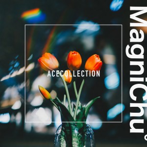 收聽ACE COLLECTION的MagniChu°歌詞歌曲