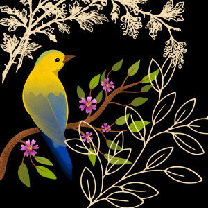 ดาวน์โหลดและฟังเพลง Kicau Burung Ciblek Gunung พร้อมเนื้อเพลงจาก Severinus Journey