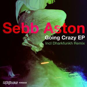 ดาวน์โหลดและฟังเพลง Going Crazy พร้อมเนื้อเพลงจาก Sebb Aston
