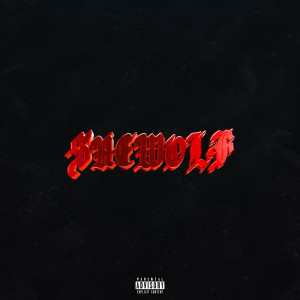 Listen to SHE WOLF (Explicit) song with lyrics from 2scratch