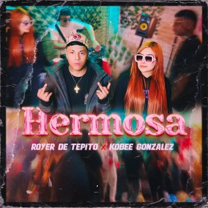 Listen to Hermosa (Explicit) song with lyrics from Royer De Tepito