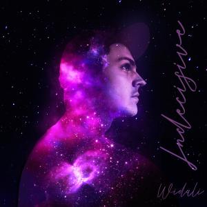 WIDALI的專輯INDECISIVE