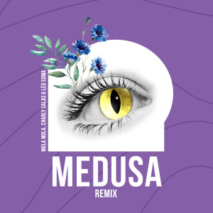 Listen to Medusa (Remix) song with lyrics from Mola Mola