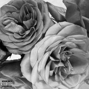 收聽Juisemoney的Shibuya (feat. DDAce) (Explicit)歌詞歌曲