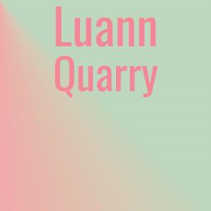 Various Artists的專輯Luann Quarry