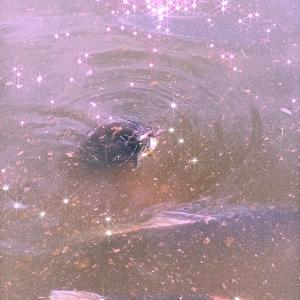 收聽Lord Kael的Sweetly (Slowed & Reverb Version)歌詞歌曲