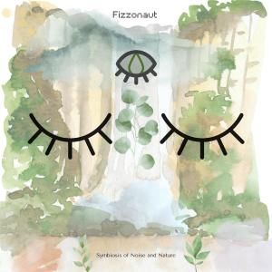 Album Symbiosis of Noise and Nature from Fizzonaut