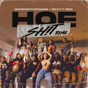 ดาวน์โหลดและฟังเพลง Hoe **** (Remix) พร้อมเนื้อเพลงจาก Genesisthegawd