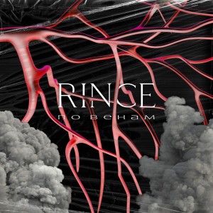 Listen to По венам song with lyrics from Rince