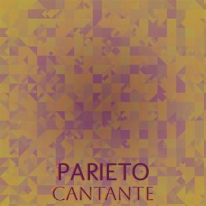 Various Artists的專輯Parieto Cantante