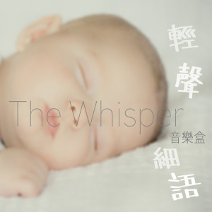 收聽brworkstudio的Piano Sonata in D major, D 850, Opus 53 (1825) 2. Movement Music Box歌詞歌曲