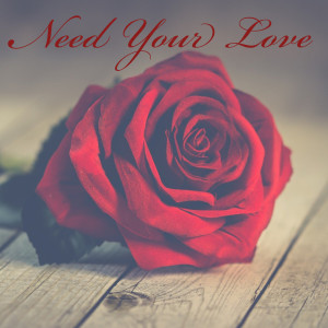 Album Need Your Love from 