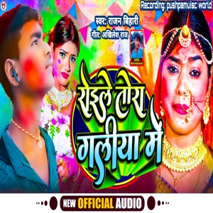 ดาวน์โหลดและฟังเพลง Rohilla Tohara Galiya Mein (Bhojpuri) พร้อมเนื้อเพลงจาก Rajan Bihari