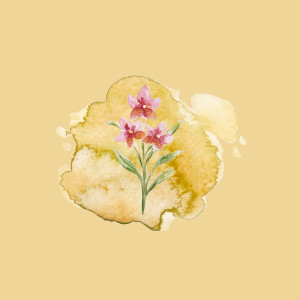 Listen to Company song with lyrics from Santi Castro