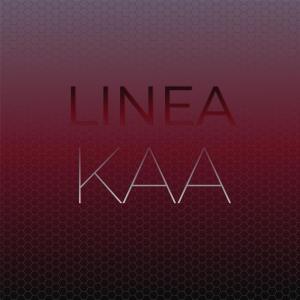 อัลบัม Linea Kaa ศิลปิน Various