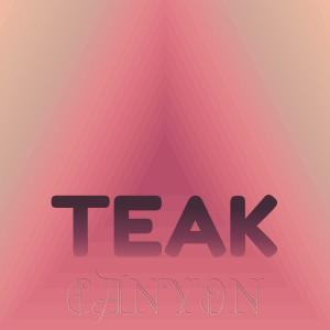 收聽Angelie Gamis的Teak Canyon歌詞歌曲