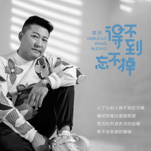 Listen to 得不到忘不掉 (伴奏) song with lyrics from 笑天