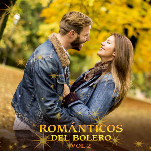 Album Románticos Del Bolero, Vol. 2 from Various