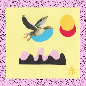 Album Vagabundo from 