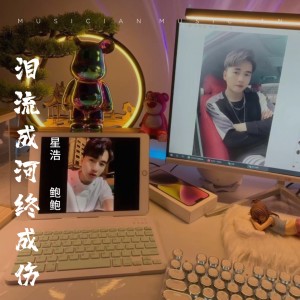 Listen to 泪流成河终成伤 (完整版) song with lyrics from 星浩