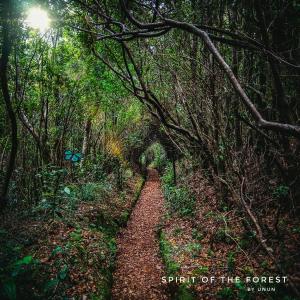 อัลบัม Spirit of the Forest ศิลปิน UNUN