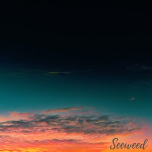 Album Sunset Gradient from Seeweed