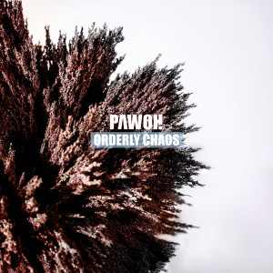 Listen to Orderly Chaos song with lyrics from Pawoh