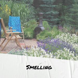 ดาวน์โหลดและฟังเพลง Anybody Cognize พร้อมเนื้อเพลงจาก Ferney Chalo