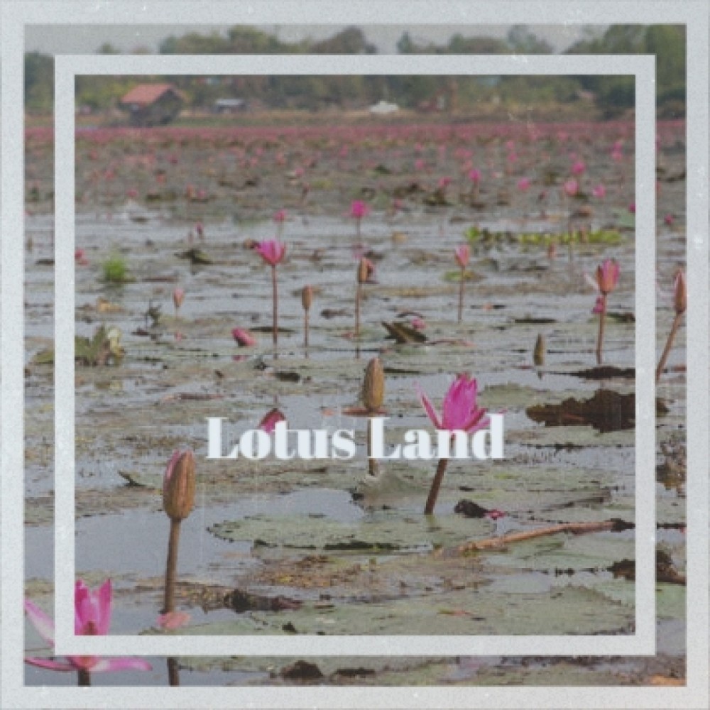 Lotus Land