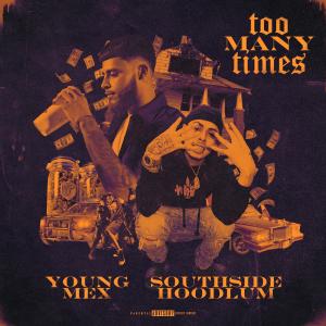 Too Many Times (feat. Hoodlum) [Explicit]