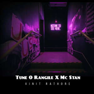 Dengarkan lagu TUNE O RANGILE X MC STAN (Remix) nyanyian Vinit Rathore dengan lirik