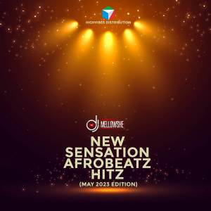 อัลบัม New Sensation Afrobeats Hitz (May 2023 Edition) (DJ Mix) ศิลปิน DJ Mellowshe